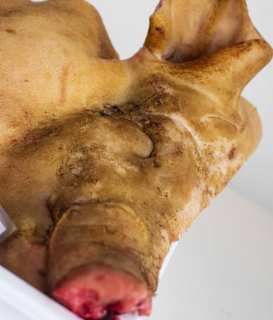 Cap Porc
