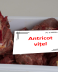 Antricot Vitel